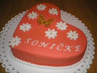 /album/narodeniny-meniny/srdce-2-sonicka-1-800-jpg/